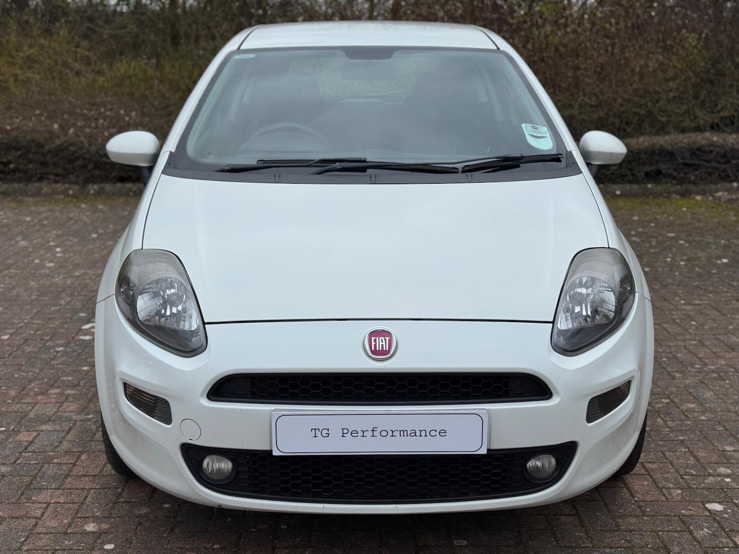 Used Fiat Punto 2013 for sale - 77940552: Photo 8