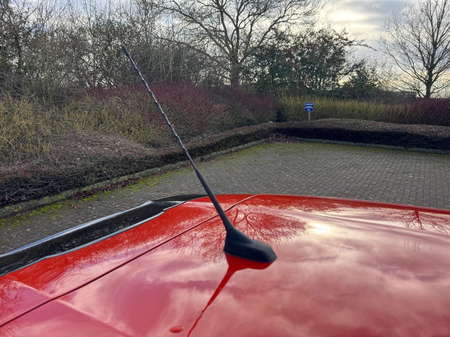 Used Peugeot 208 2016 for sale - 77320334: Photo 59