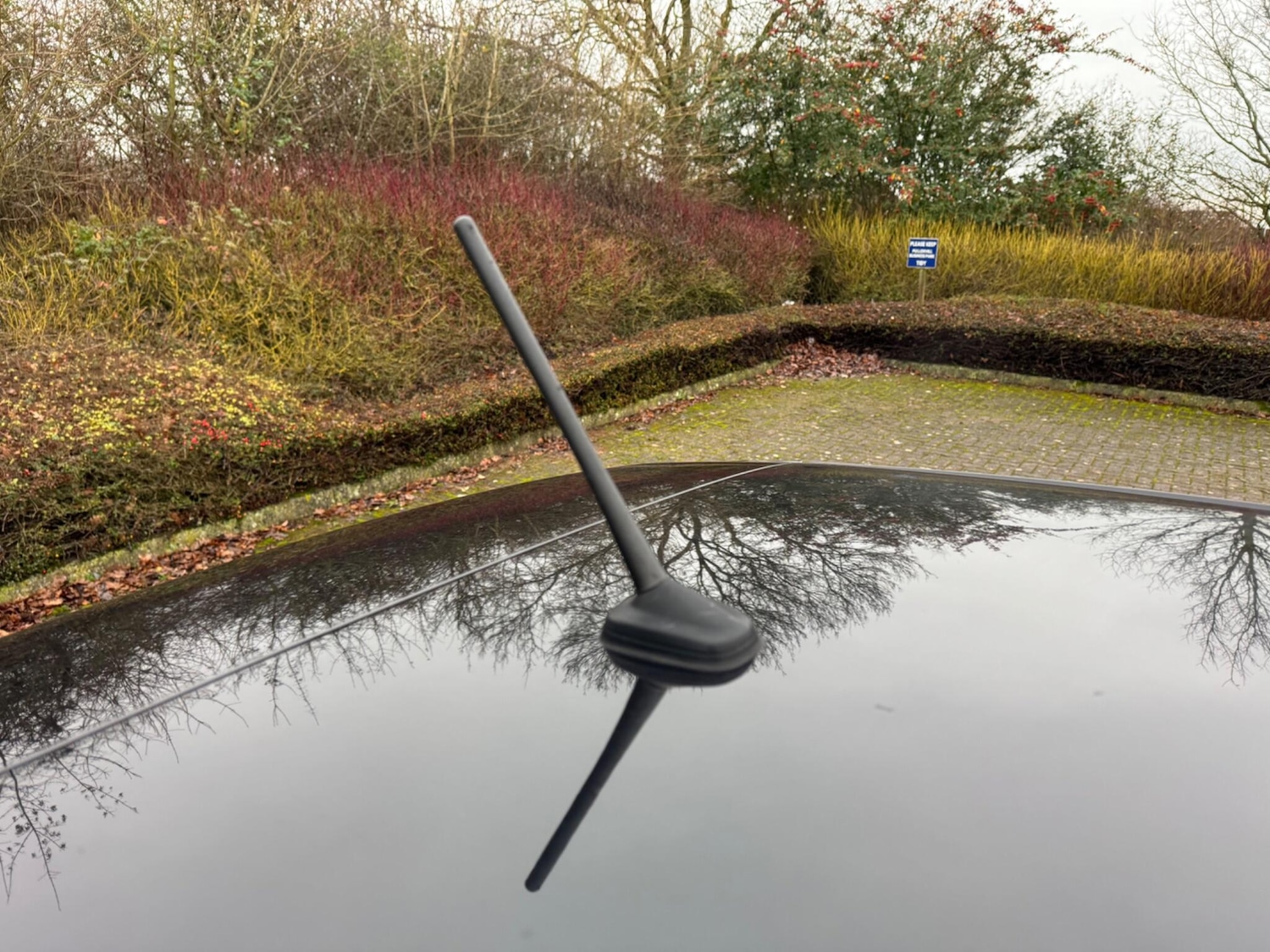 Used Volkswagen Polo 2014 for sale - 77029588: Photo 60