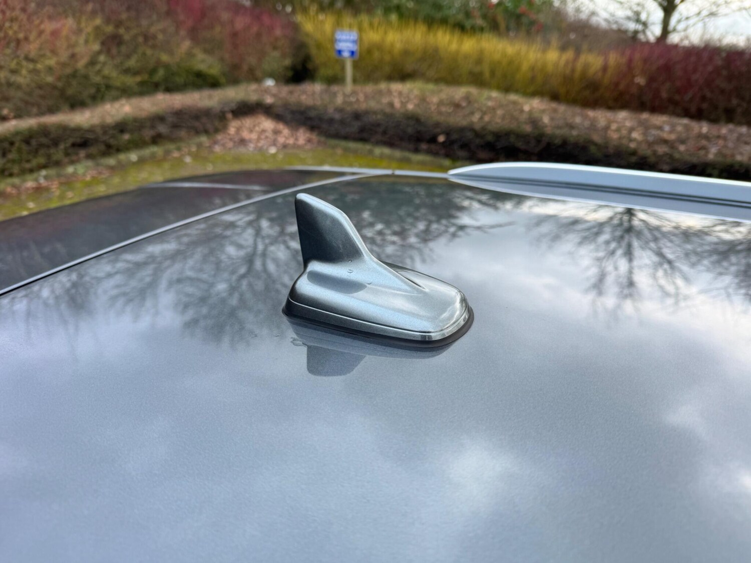 Used Audi A4 Avant 2017 for sale - 77156011: Photo 81