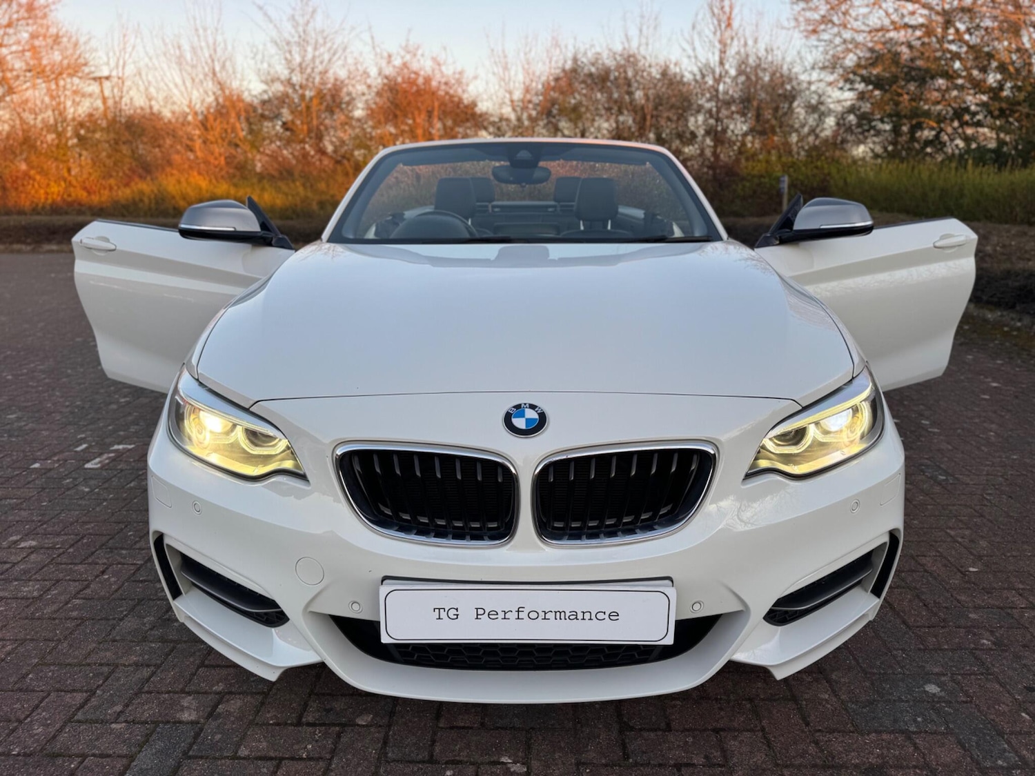 Used BMW 2 Series 2017 for sale - 77993682: Photo 10