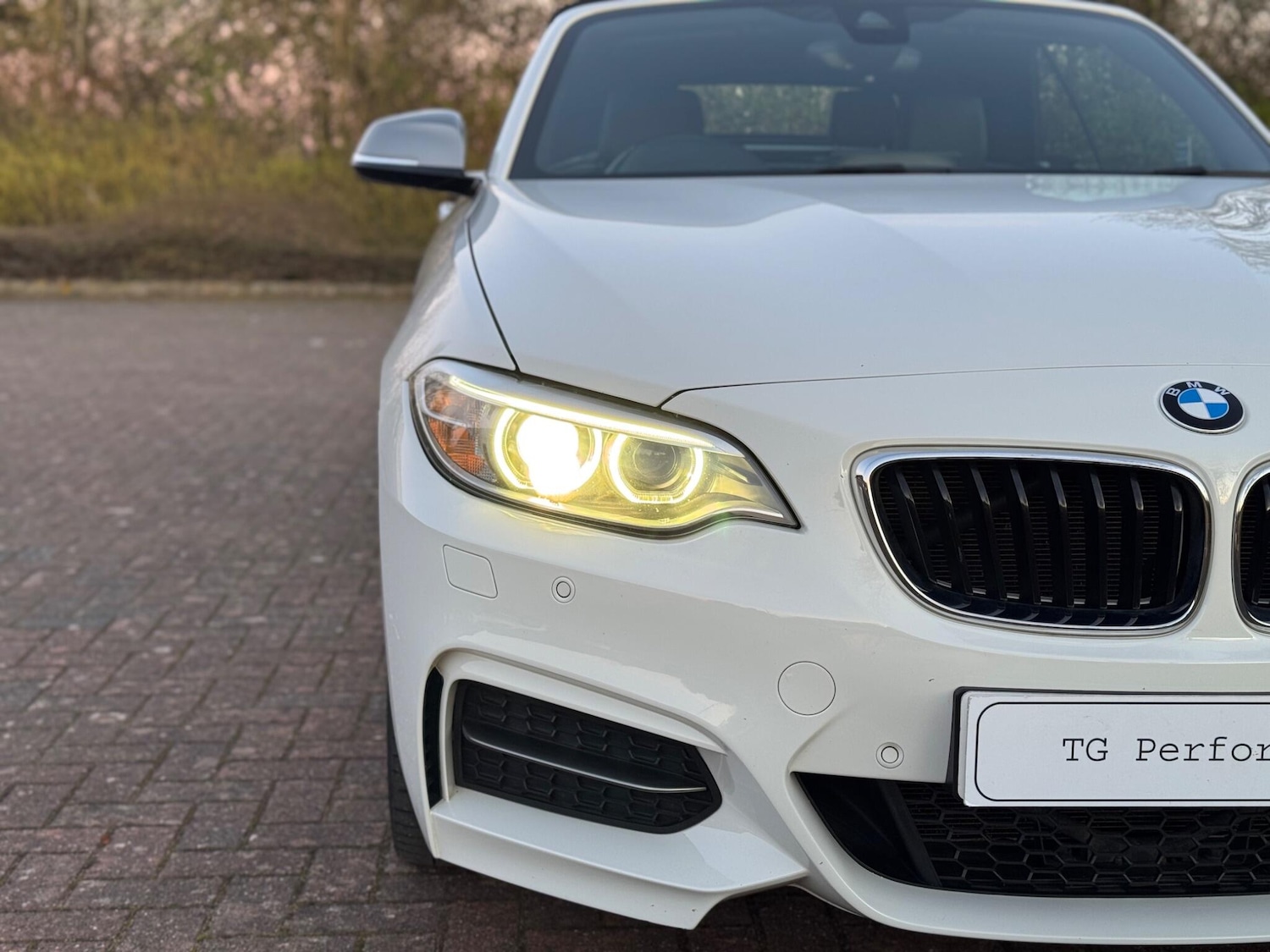 Used BMW 2 Series 2017 for sale - 77993682: Photo 3