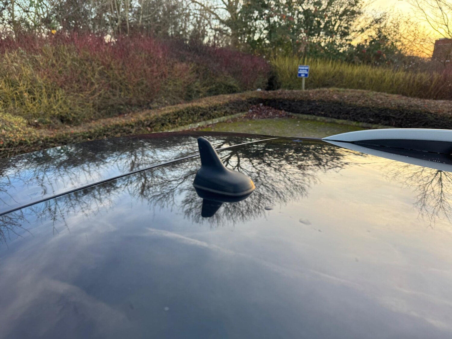 Used Skoda Octavia 2017 for sale - 76953181: Photo 70