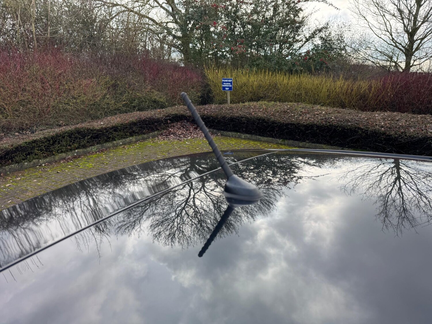 Used Hyundai i30 for sale - 77510231: Photo 63