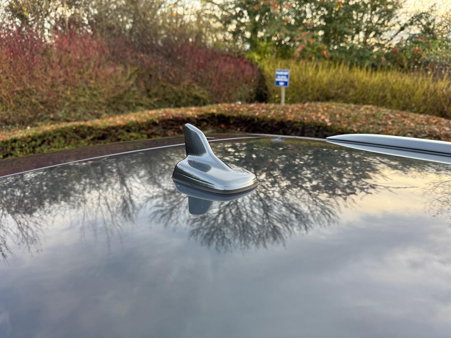 Used Audi A4 2017 for sale - 76573787: Photo 78