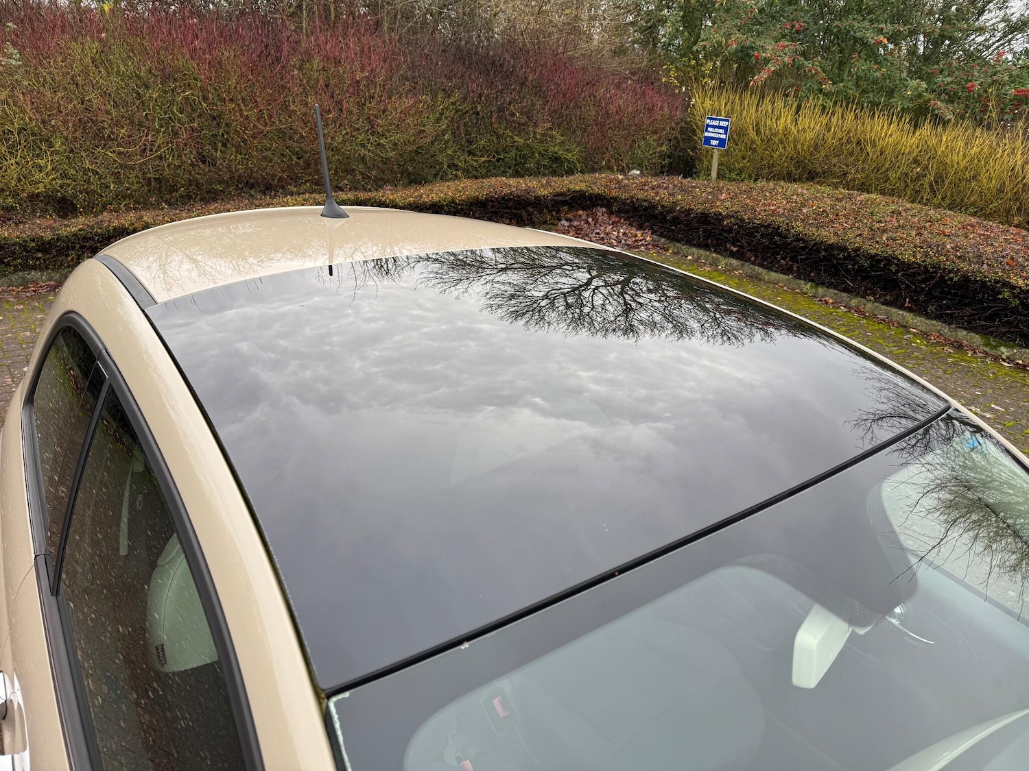 Used Fiat 500 2013 for sale - 76887296: Photo 53