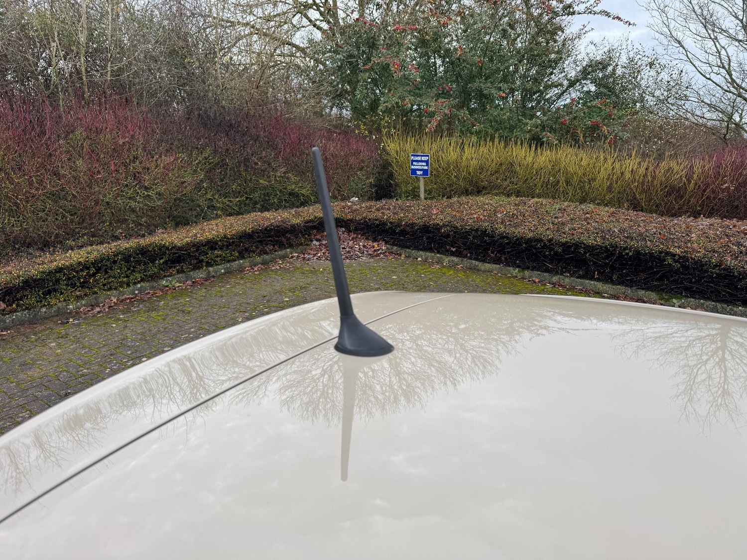 Used Fiat 500 2013 for sale - 76887296: Photo 58