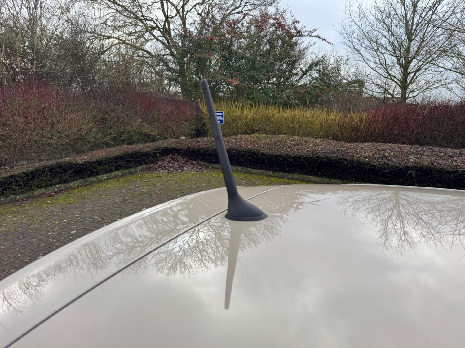 Used Fiat 500 2014 for sale - 77376738: Photo 59