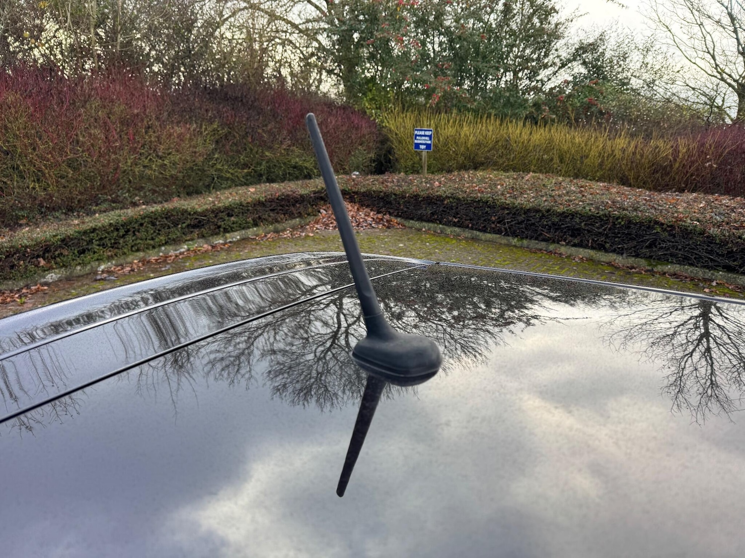 Used Alfa Romeo Giulietta 2014 for sale - 76689380: Photo 69