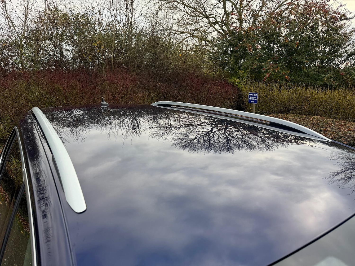 Used Volkswagen Tiguan 2019 for sale - 76573791: Photo 81