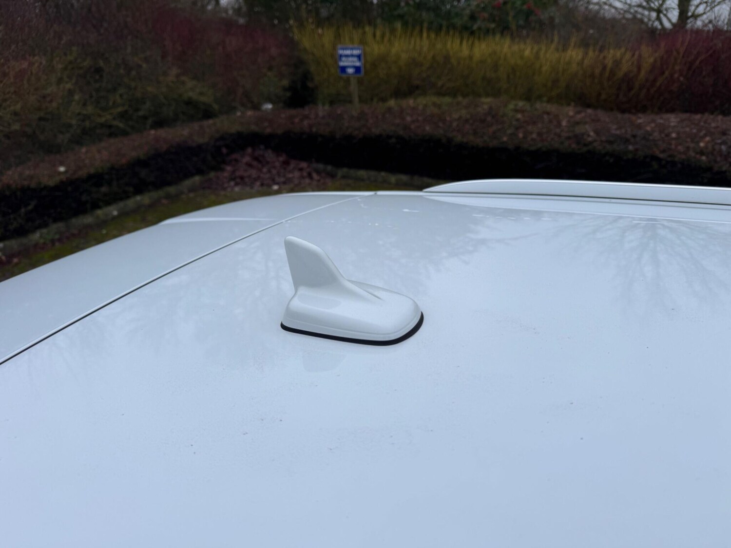 Used Audi A4 2016 for sale - 77376558: Photo 73