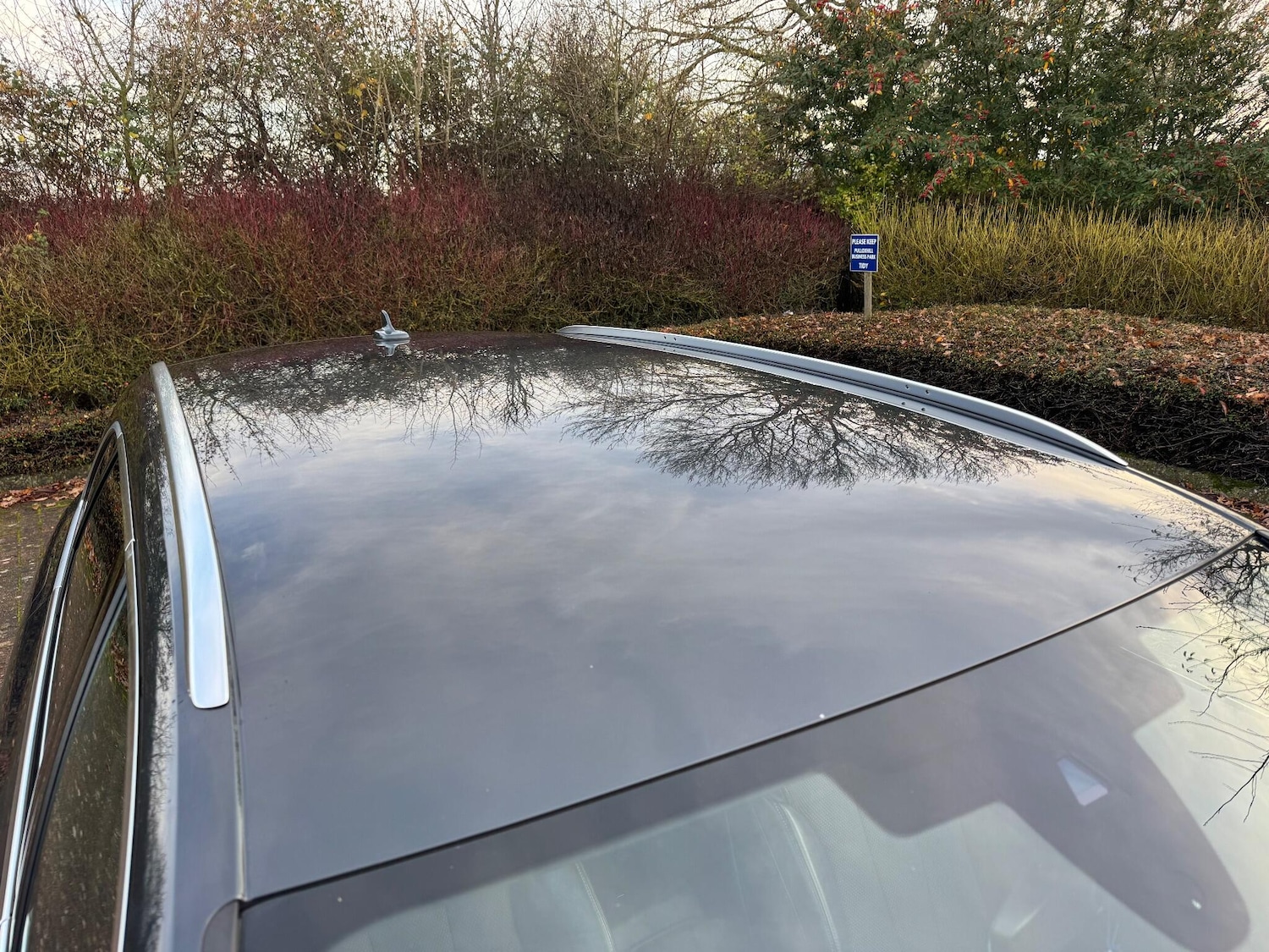 Used Audi A4 Avant for sale - 76996292: Photo 77