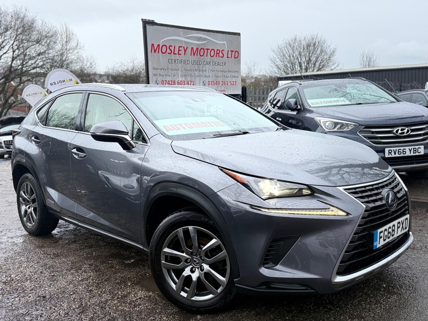 Used Lexus NX 2018 for sale - 77143747: Photo 2