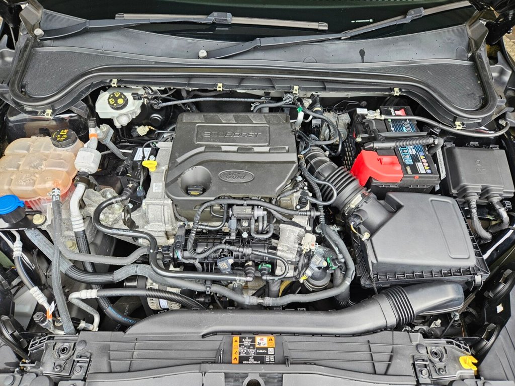 Used Ford Focus 2020 for sale - 75802011: Photo 10