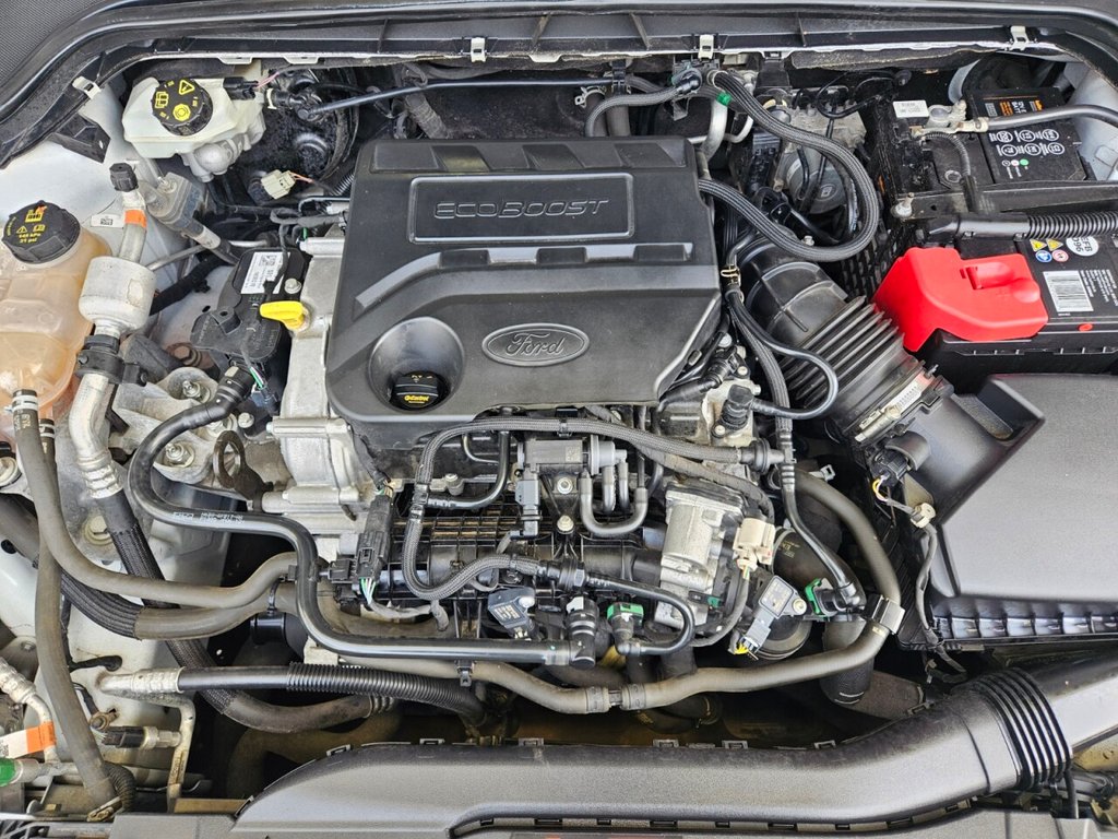 Used Ford Focus 2019 for sale - 77967675: Photo 10