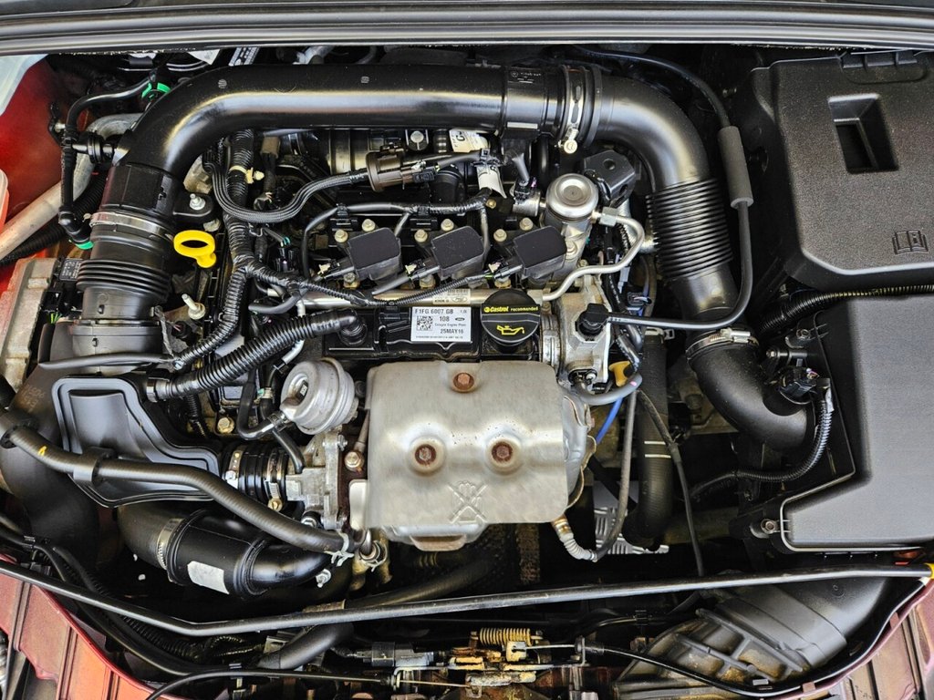 Used Ford Focus 2016 for sale - 77720403: Photo 10