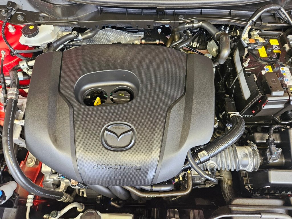 Used Mazda Mazda2 2024 for sale - 77905360: Photo 10