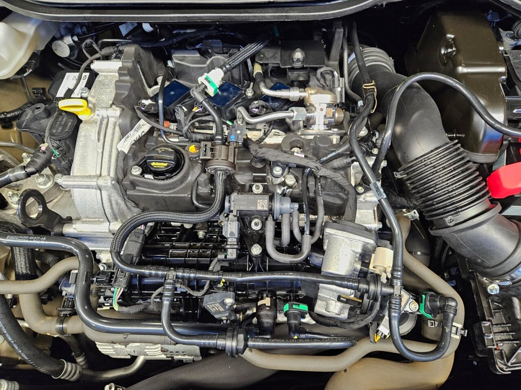 Used Ford Fiesta 2023 for sale - 77038281: Photo 10