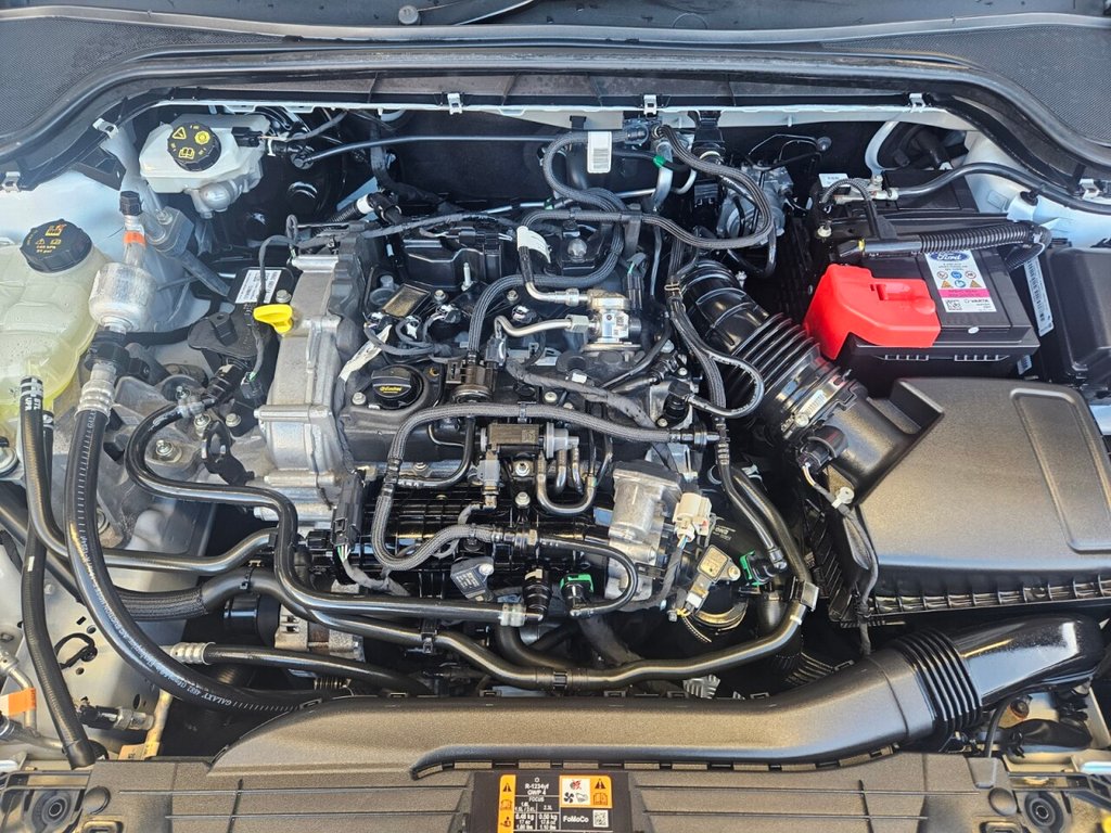 Used Ford Focus 2023 for sale - 76570282: Photo 10