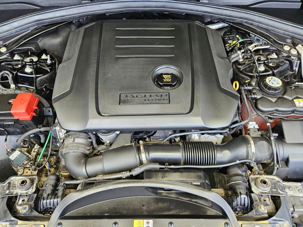 Used Jaguar F-Pace 2020 for sale - 77780441: Photo 11