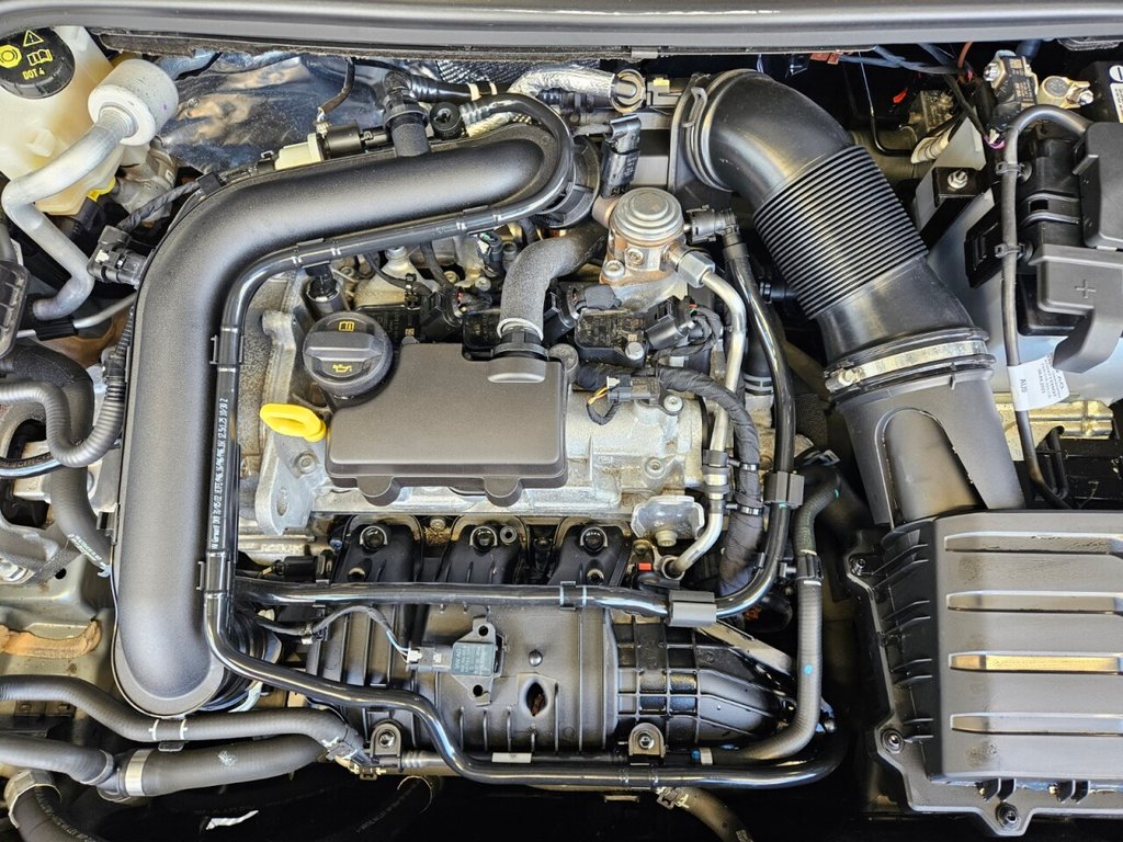 Used SEAT Ibiza 2023 for sale - 77263717: Photo 10