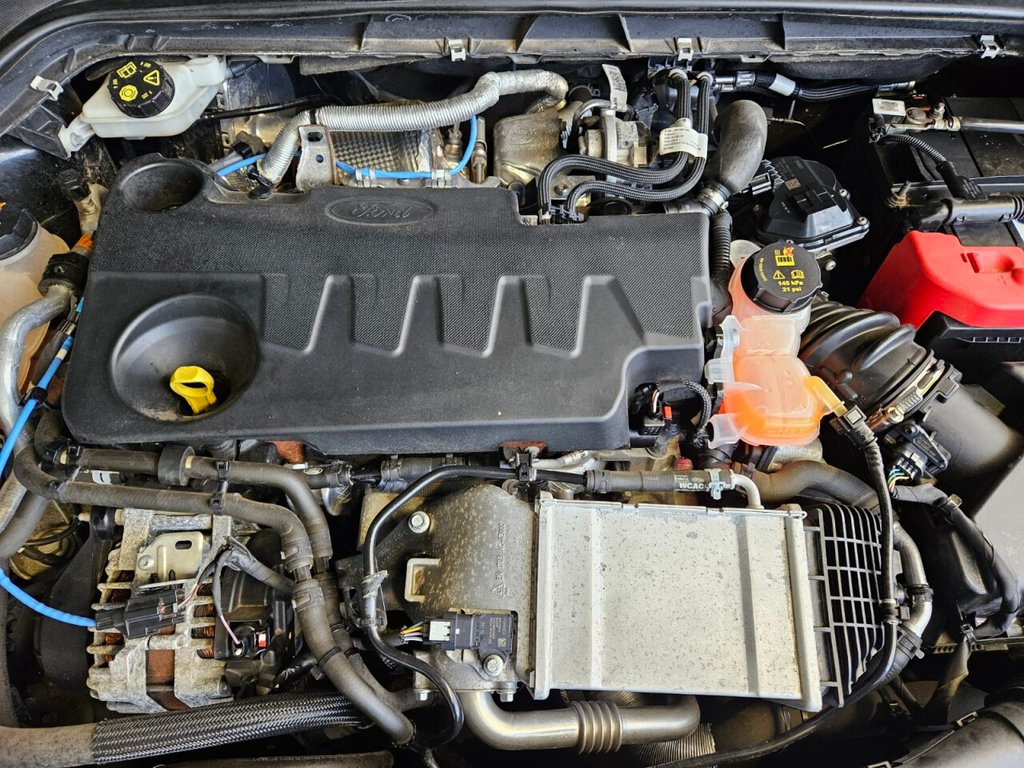 Used Ford Focus 2020 for sale - 77572057: Photo 10