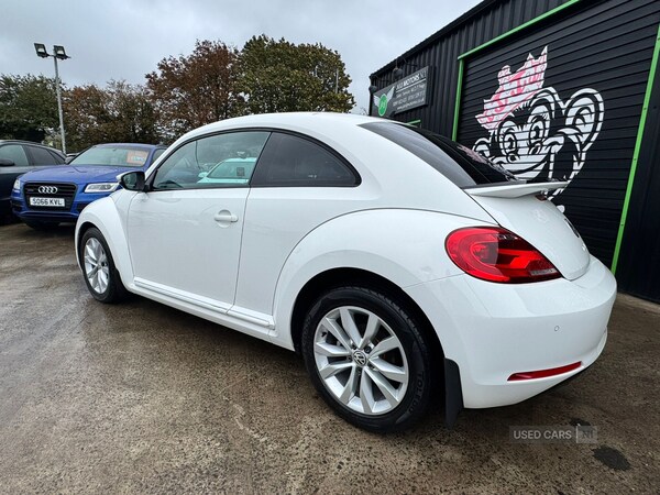 Used Volkswagen Beetle 2013 for sale - 76190319: Photo 19