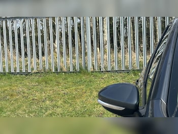 Used Peugeot 208 2013 for sale - 77906638: Photo