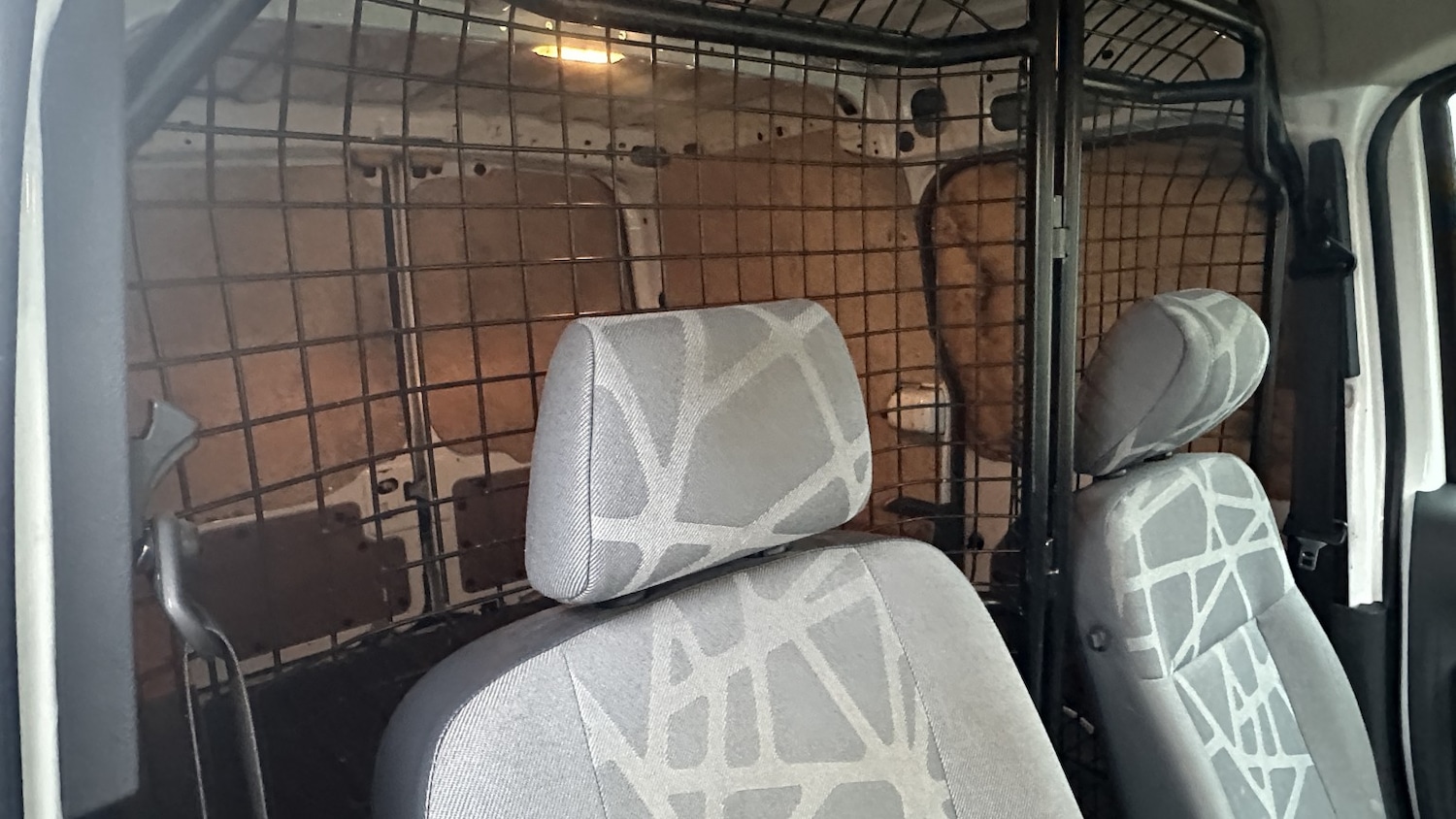 Used Ford Transit Connect 2011 for sale - 77357402: Photo 10