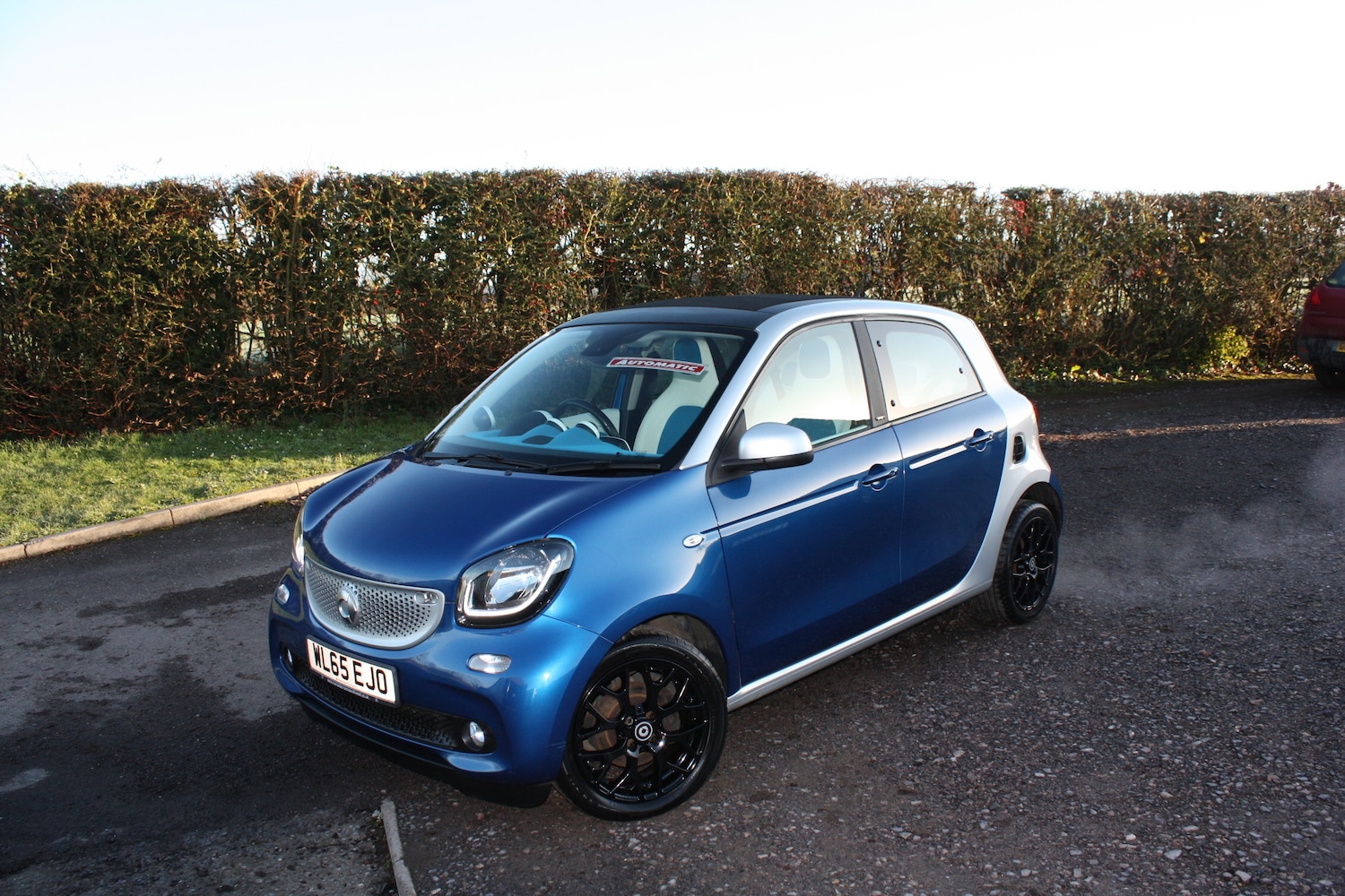 Used smart forfour 2016 for sale - 76934238: Photo 1