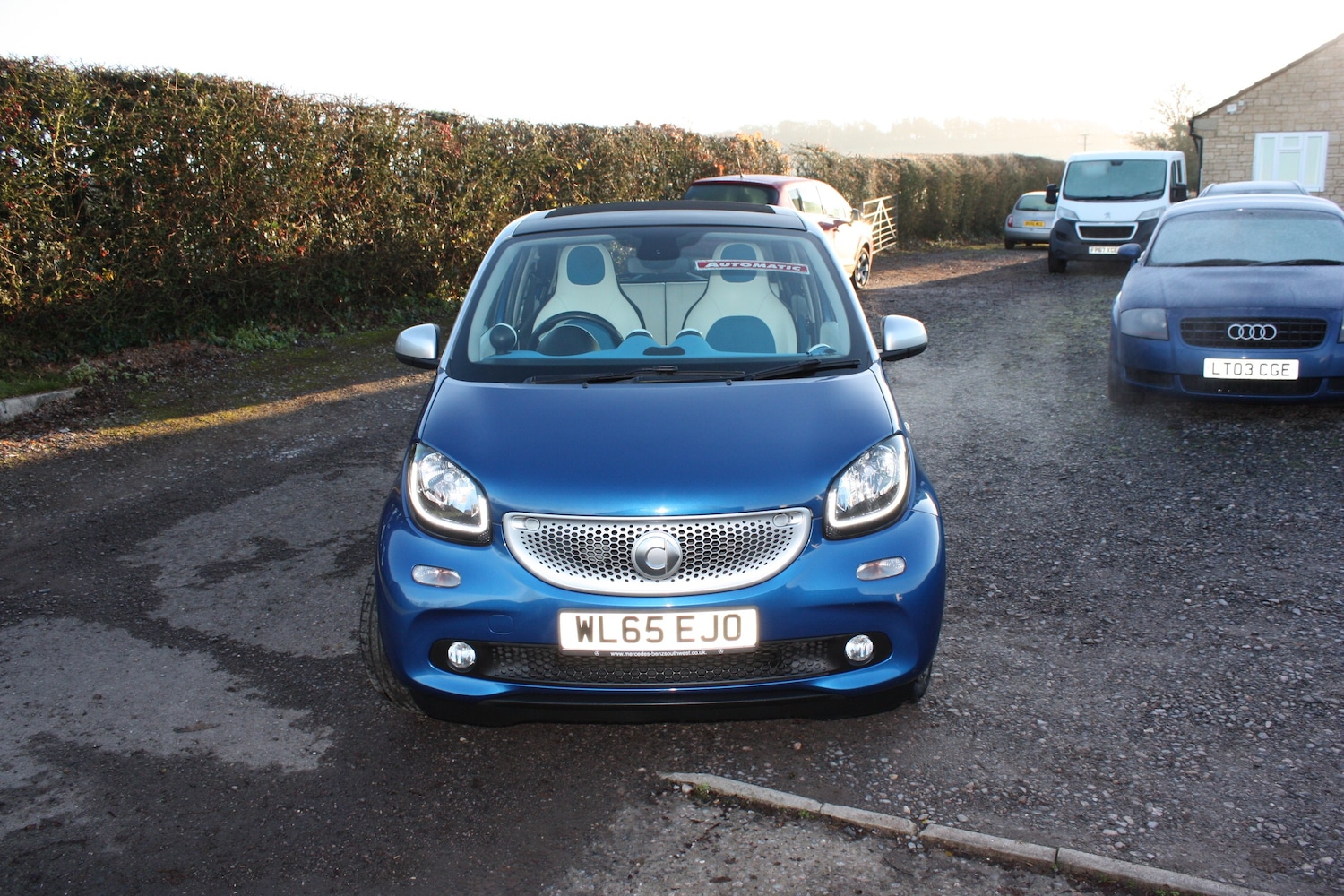 Used smart forfour 2016 for sale - 76934238: Photo 2