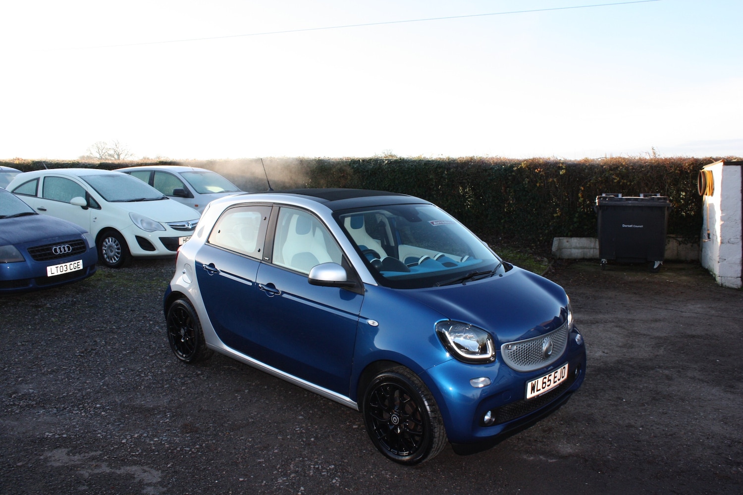 Used smart forfour 2016 for sale - 76934238: Photo 3
