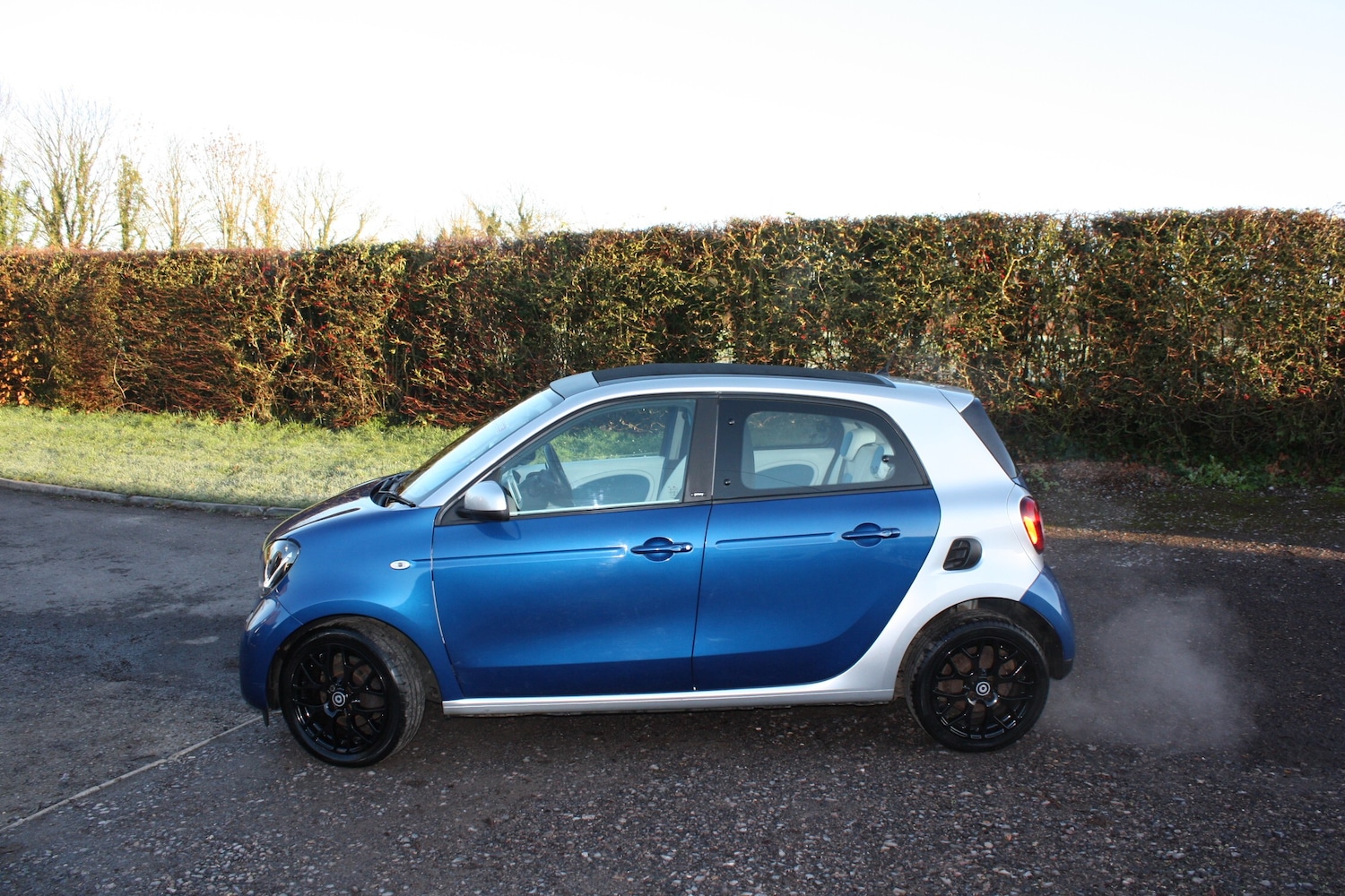 Used smart forfour 2016 for sale - 76934238: Photo 4