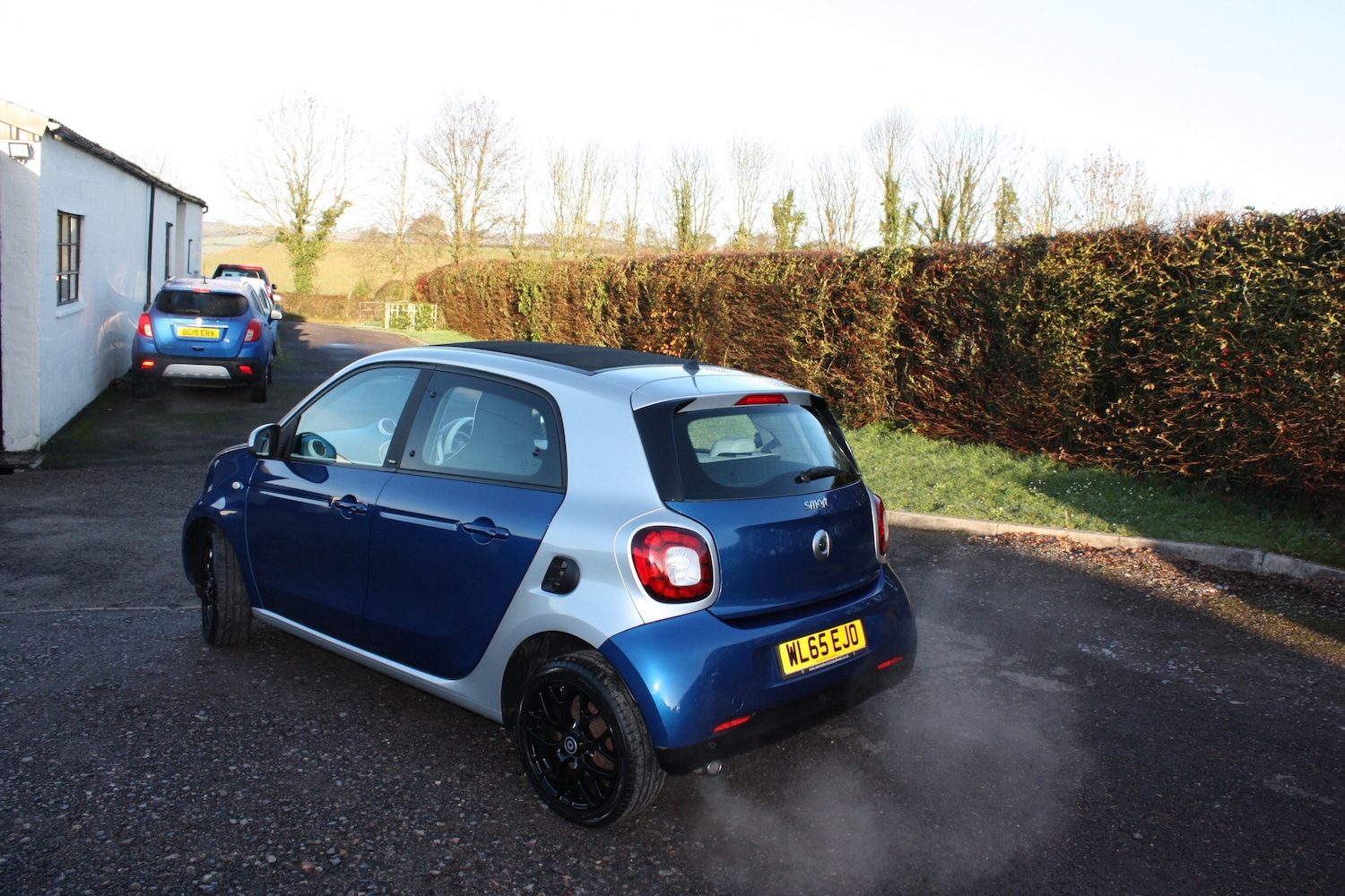 Used smart forfour 2016 for sale - 76934238: Photo 5