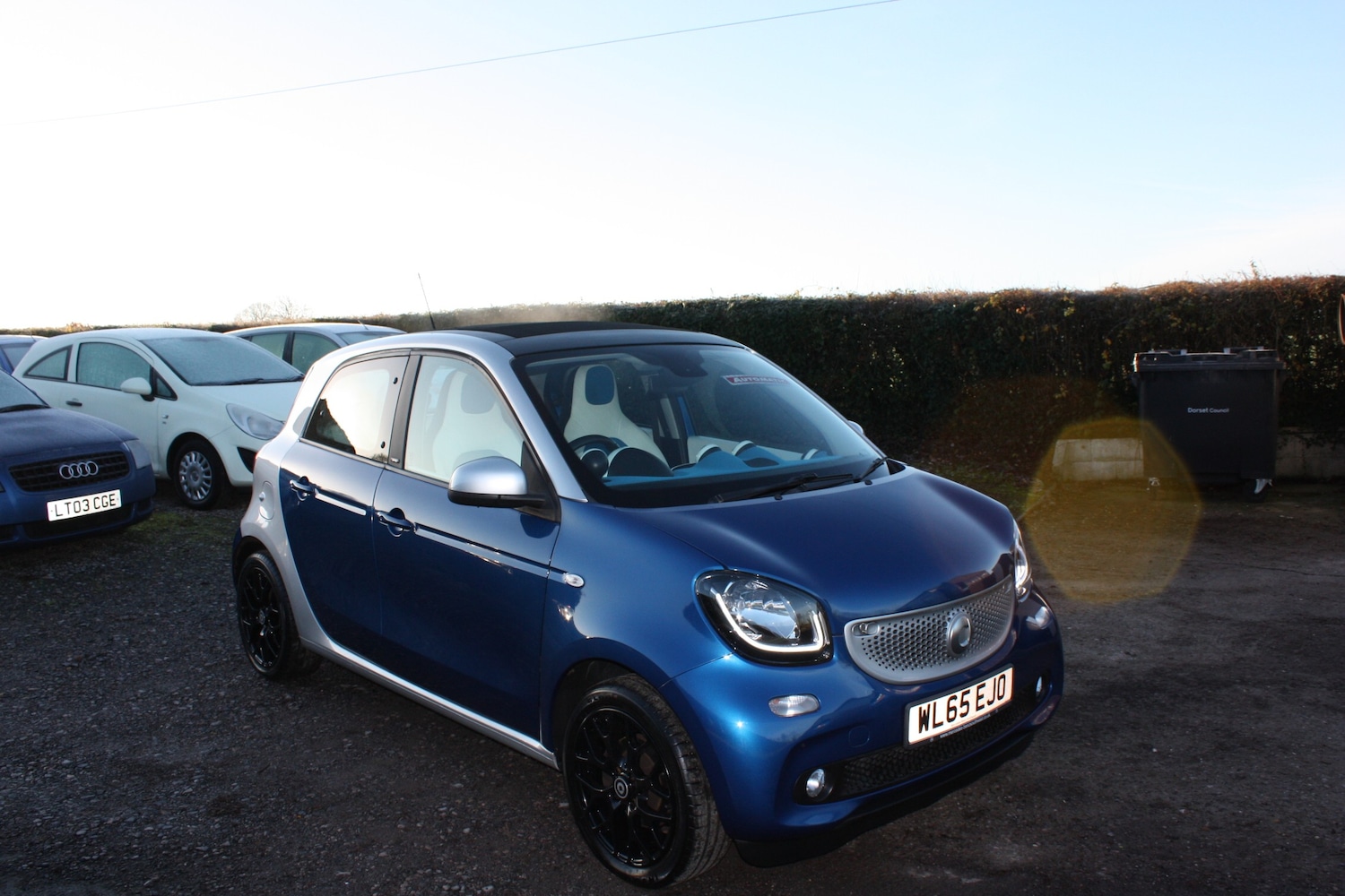 Used smart forfour 2016 for sale - 76934238: Photo 8