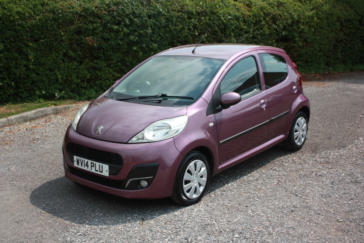 Vehicle 1