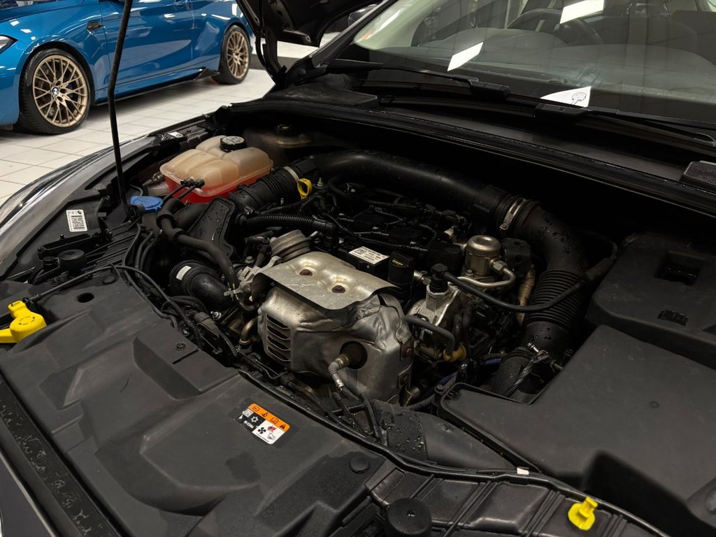 Used Ford Focus 2016 for sale - 77072319: Photo 46