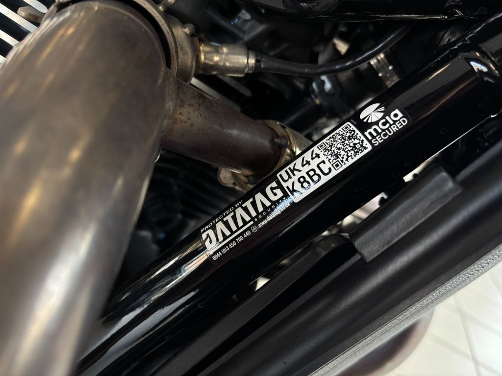 Used Triumph SPEED TWIN 1200 2024 for sale - 78672824: Photo 14