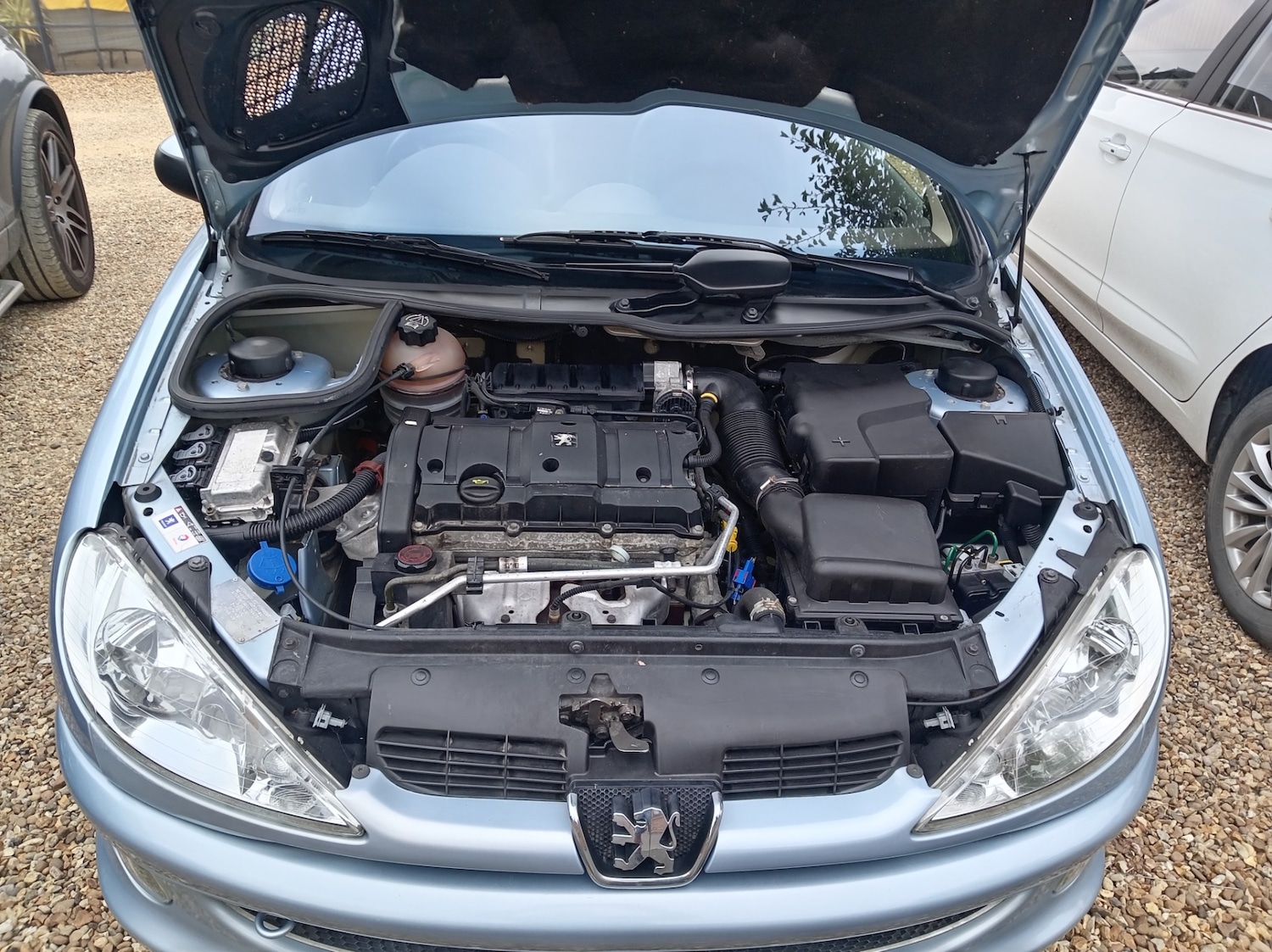 Vehicle 19