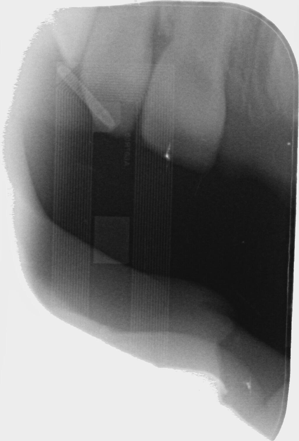 Used Nissan Navara 2020 for sale - 77478976: Photo 35