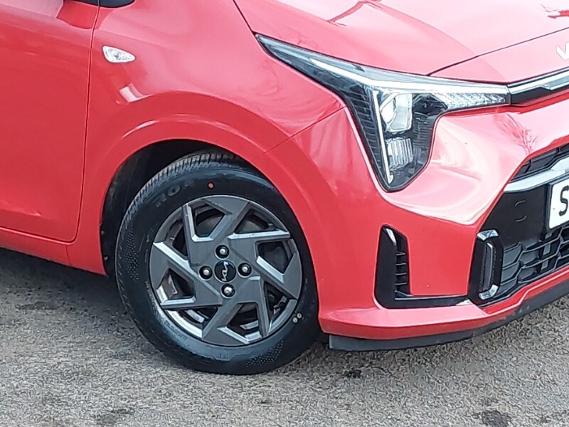 Used Kia Picanto 2024 for sale - 77818427: Photo 9