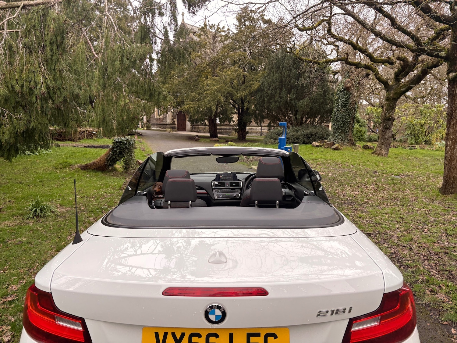 Used BMW 2 Series 2017 for sale - 77562567: Photo 11