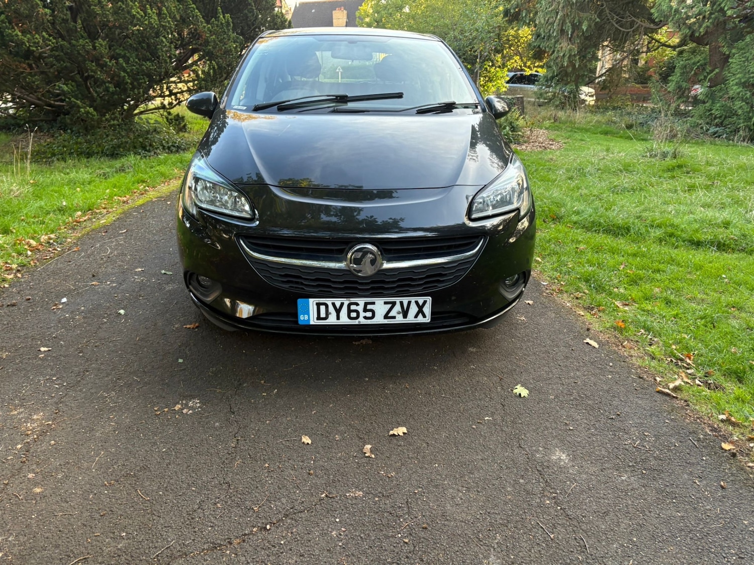 Used Vauxhall Corsa 2015 for sale - 76113782: Photo 3