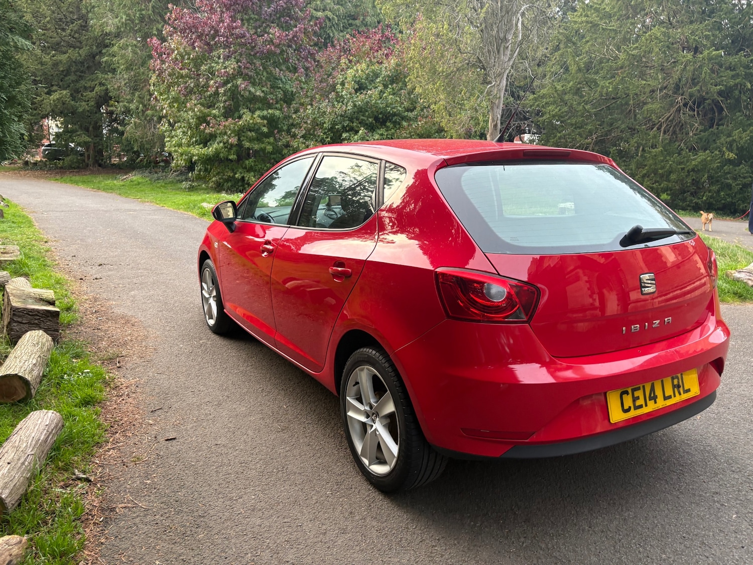 Used SEAT Ibiza 2014 for sale - 76185889: Photo 6