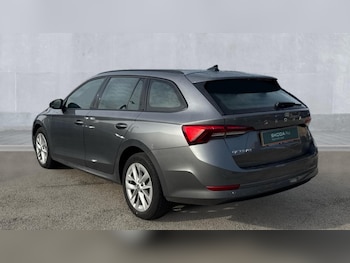 Used Skoda Octavia 2024 for sale - 76302258: Photo