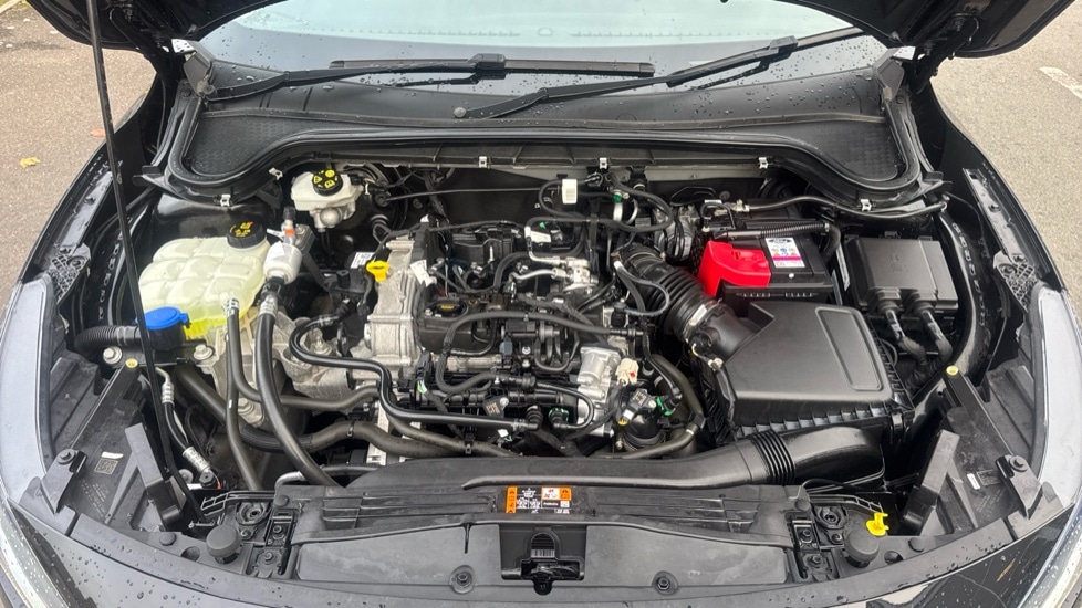 Used Ford Focus 2023 for sale - 76428154: Photo 16