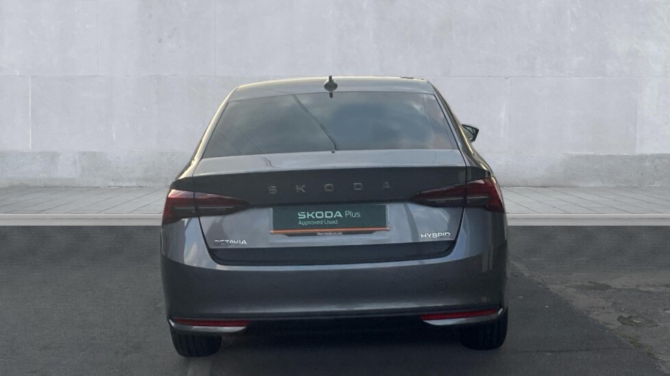 Used Skoda Octavia 2025 for sale - 76195934: Photo 11