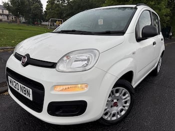 Used Fiat Panda 2020 for sale - 79653545: Photo