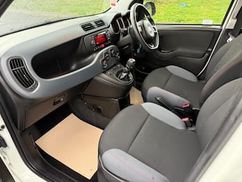 Used Fiat Panda 2020 for sale - 79653545: Photo