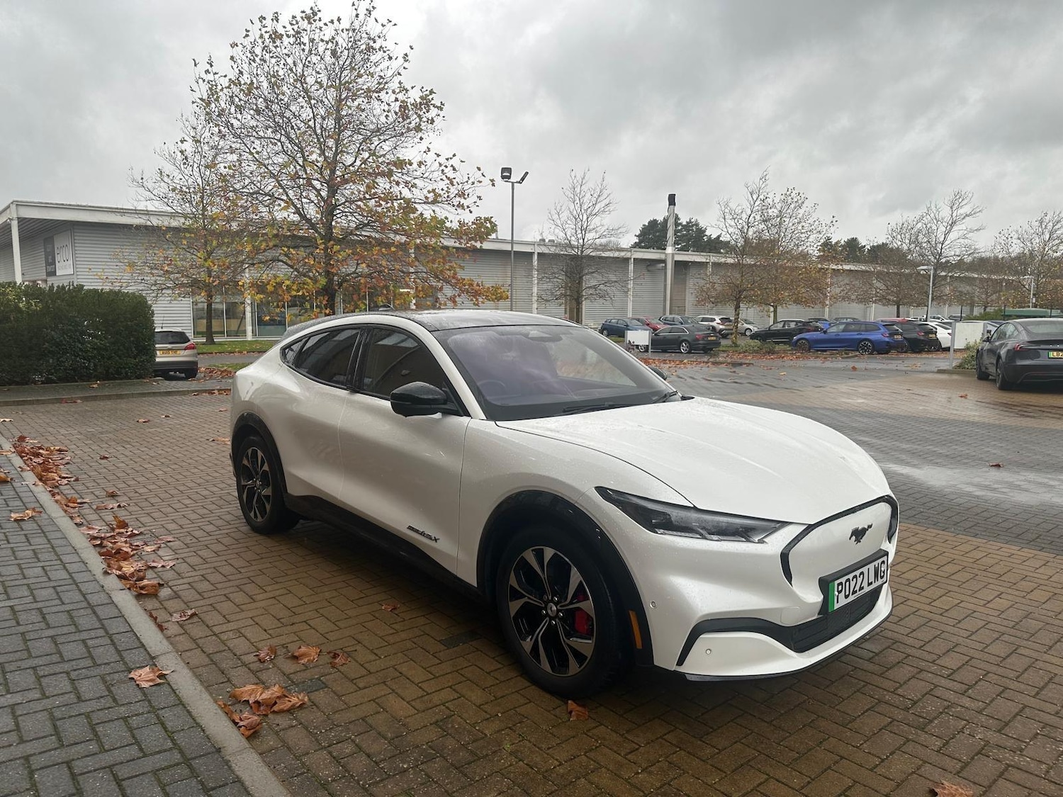 Used Ford Mustang Mach-E 2022 for sale - 76539087: Photo 13